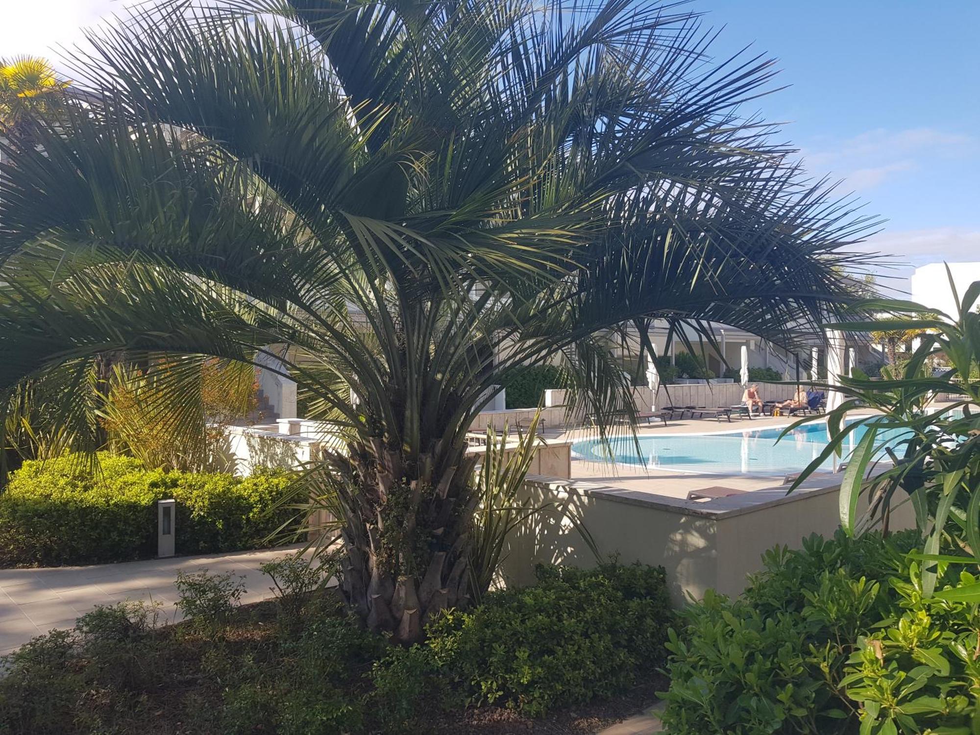 Residence Jesolo Lido Centro Con Piscina Exterior foto